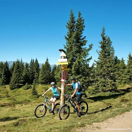 Apartment Emma-4 By Interhome