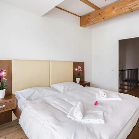 Apartment Emma-4 By Interhome Durnberg (Piesendorf)